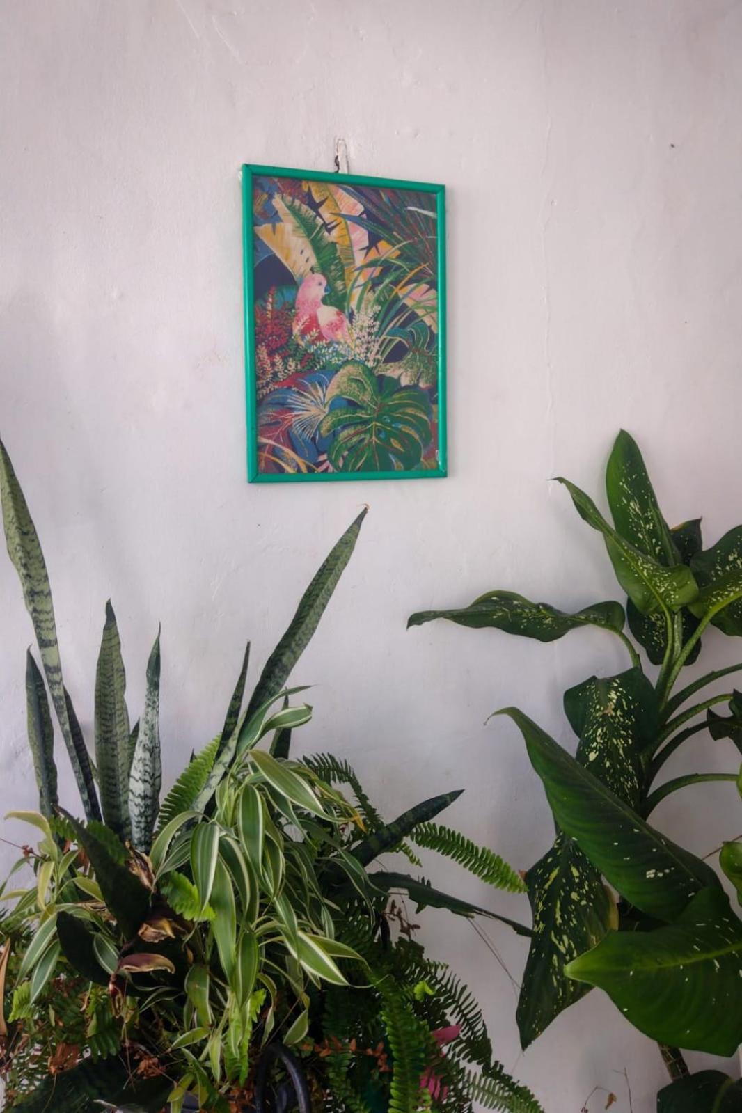 Residence Girassol Belém Екстериор снимка